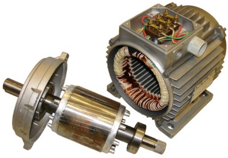 A common single phase magnetic Induction motor with exposed rotor and coil.