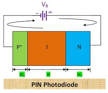PIN Photodiode