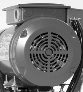 Autoclave Electrical MotorElectrical Motor