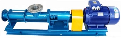 screw pump 1